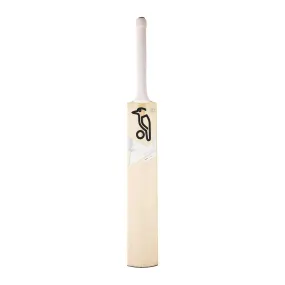 Ghost Pro 1.0 Cricket Bat