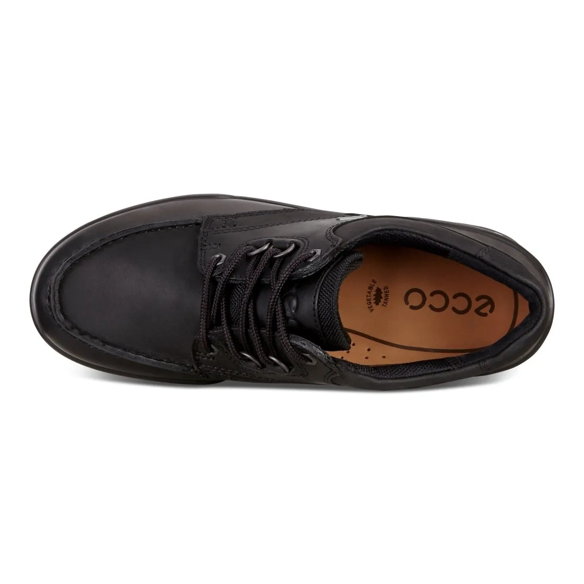 ECCO Men's 831714 Track 25 Lo Black Nubuck GORE-TEX Waterproof