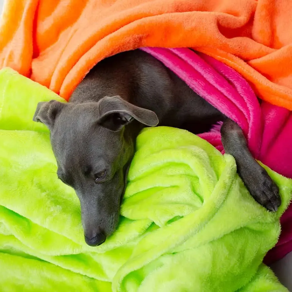 Kuscheldecke für Hunde "Blankie" - neon Farben