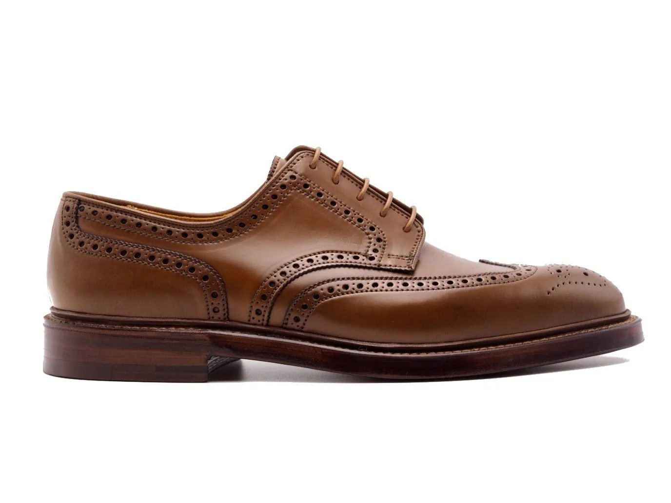 Pembroke Whiskey Shell Cordovan